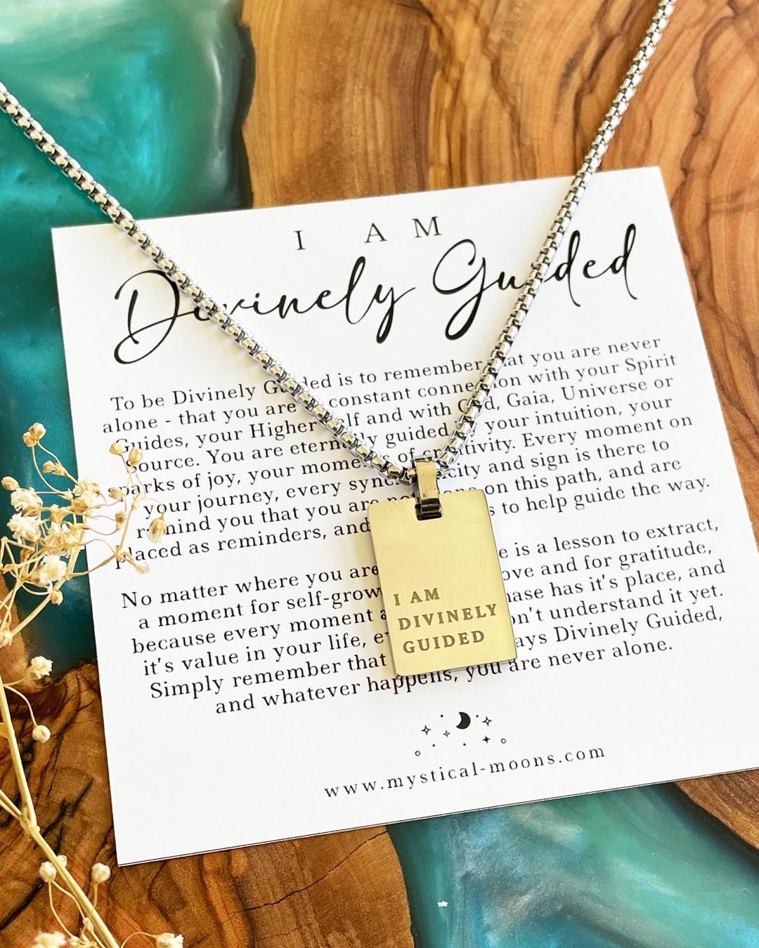 I am Divinely Guided Necklace (Men's Silver)
