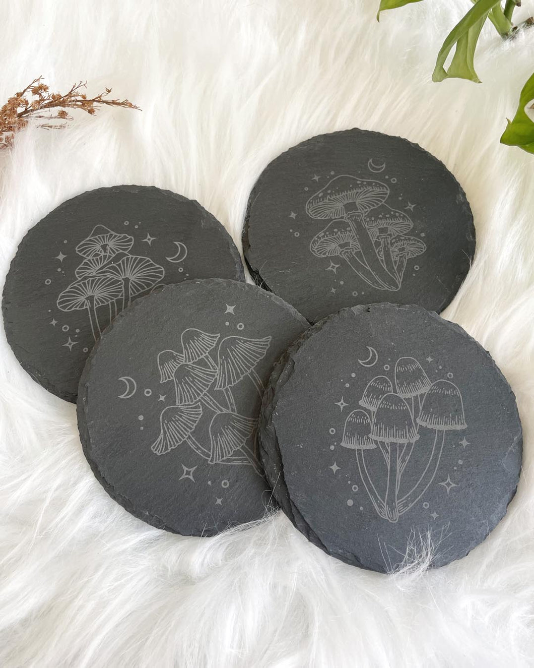 Wisdom Through Funghi Slate Coaster Set