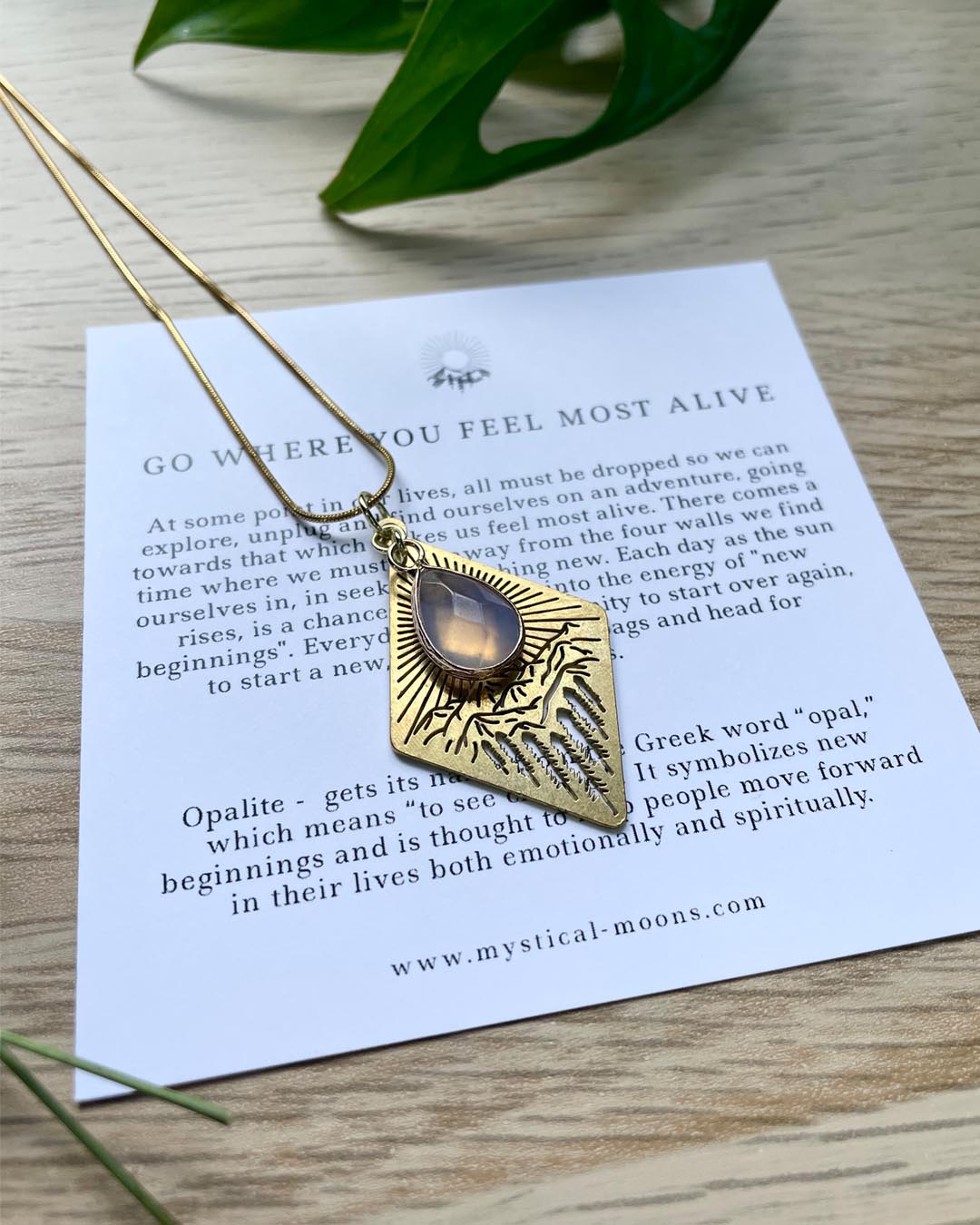 Go Where You Feel Most Alive Necklace