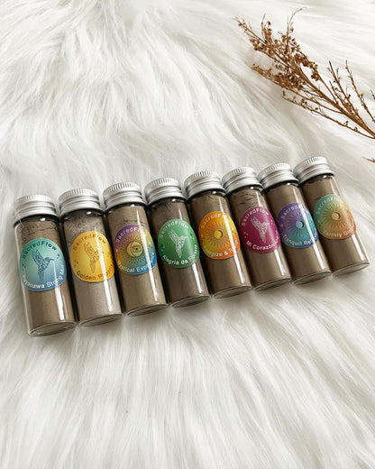 Best Sellers Bundle - 8 Piece