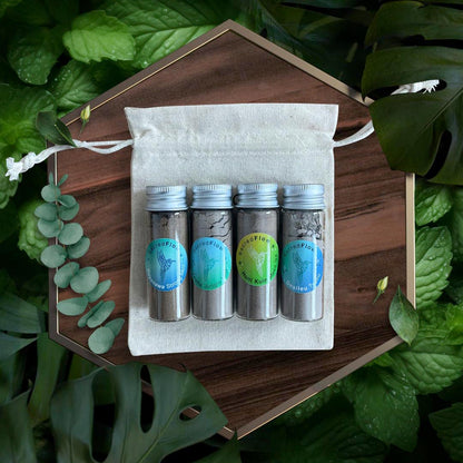 Energy Clearing Hapé Bundle | 4 Pack