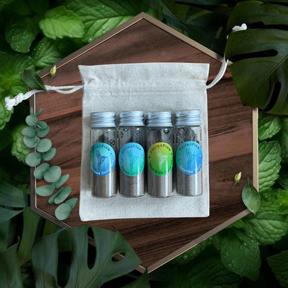 Energy Clearing Hapé Bundle | 4 Pack