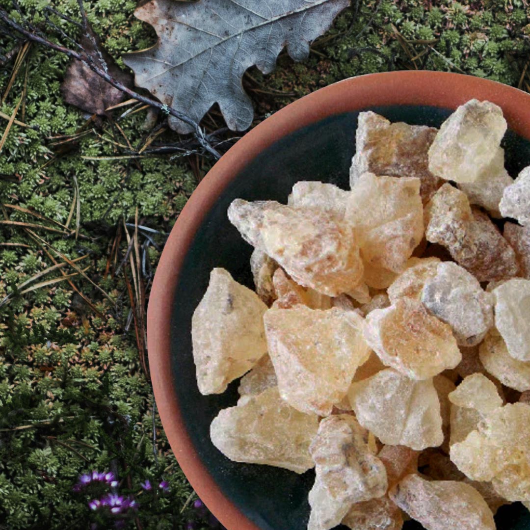 Mayan Copal Insence Resin ~Healing & Cleansing~