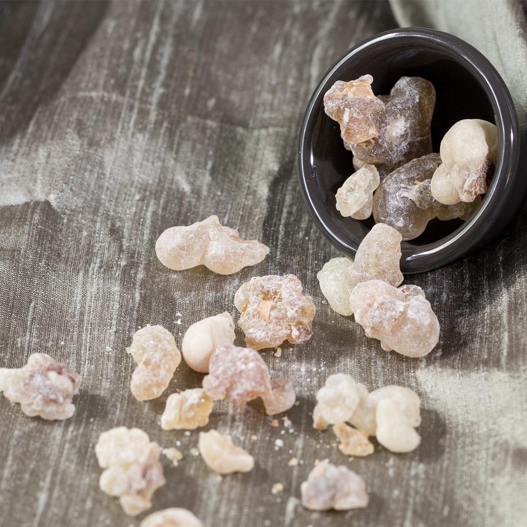 Frankincense Insence Resin ~Detox & Release~